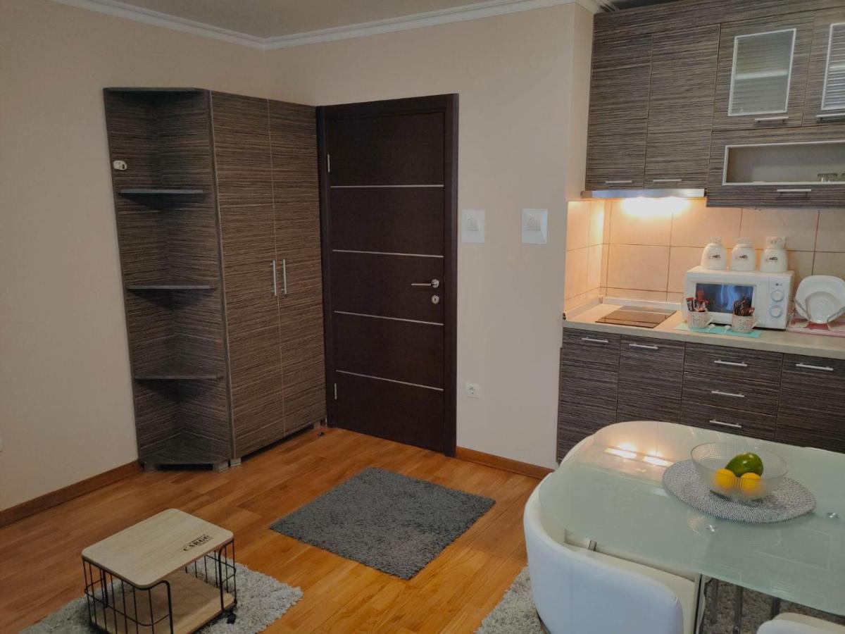 Apartman Jovanovic Vrnjacka Banja Luaran gambar